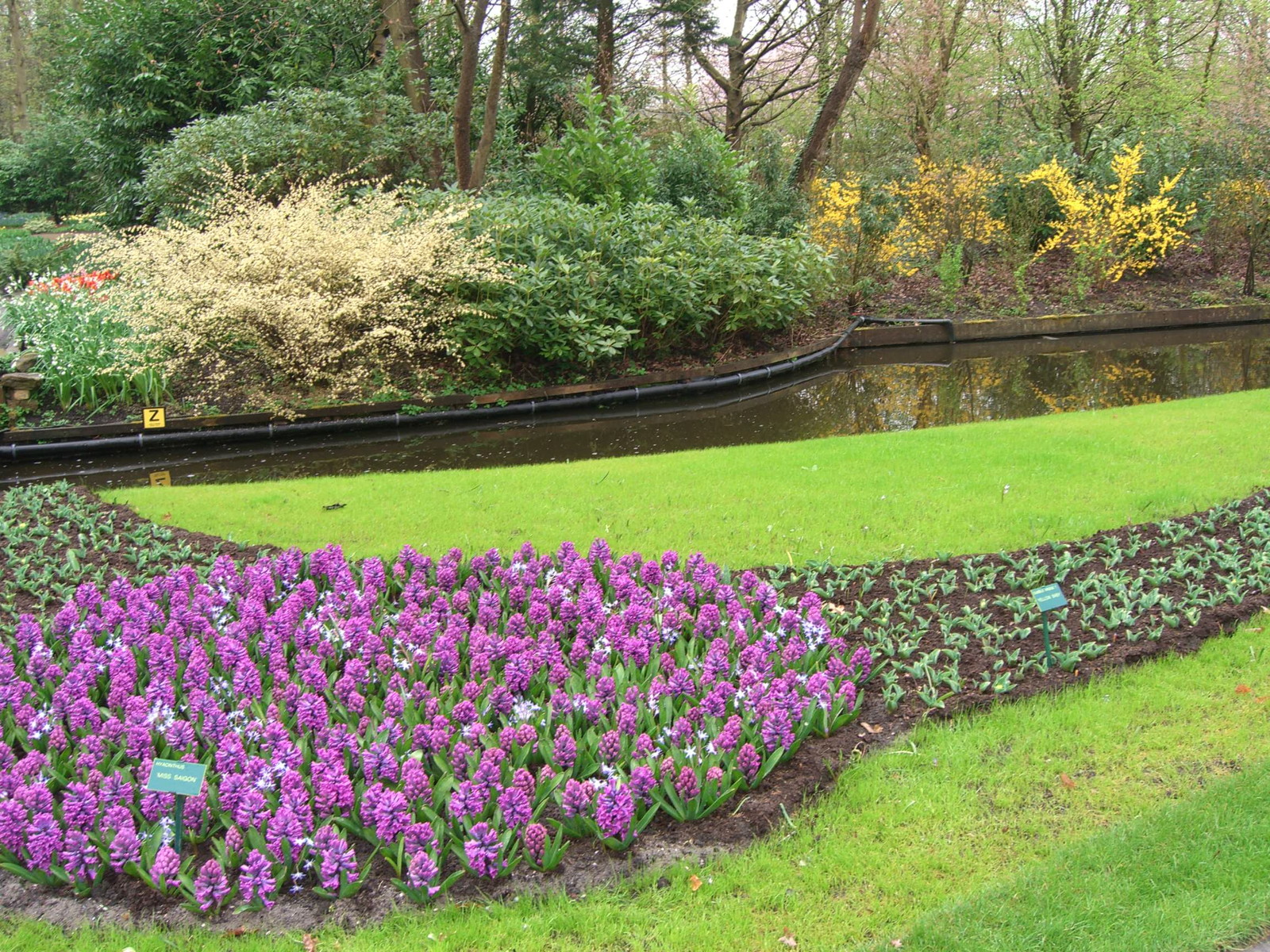 Netherlands Keukenhof